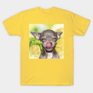 Chihuahua Cheeky Funny Summer Yellow Lemon Chi art T-Shirt